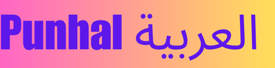 punhal| راديوك المفضل... في أي وقت وأي مكان